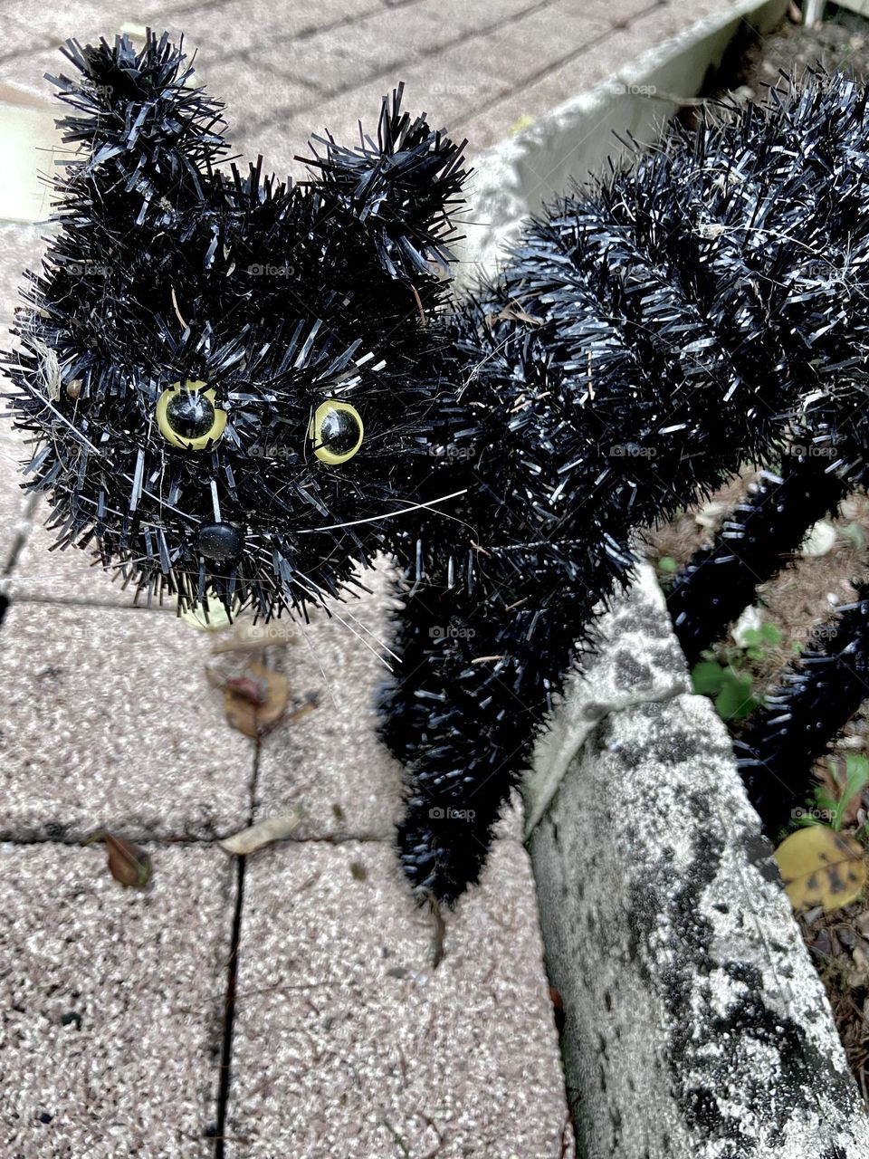 Black cat toy at Halloween 