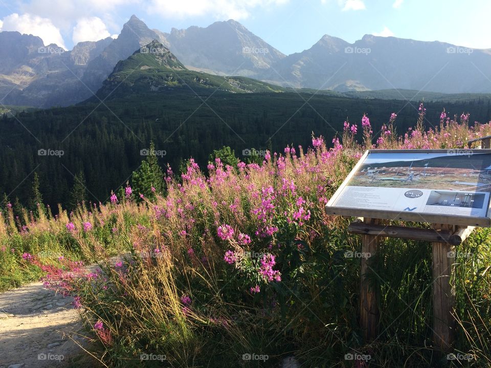 Zakopane