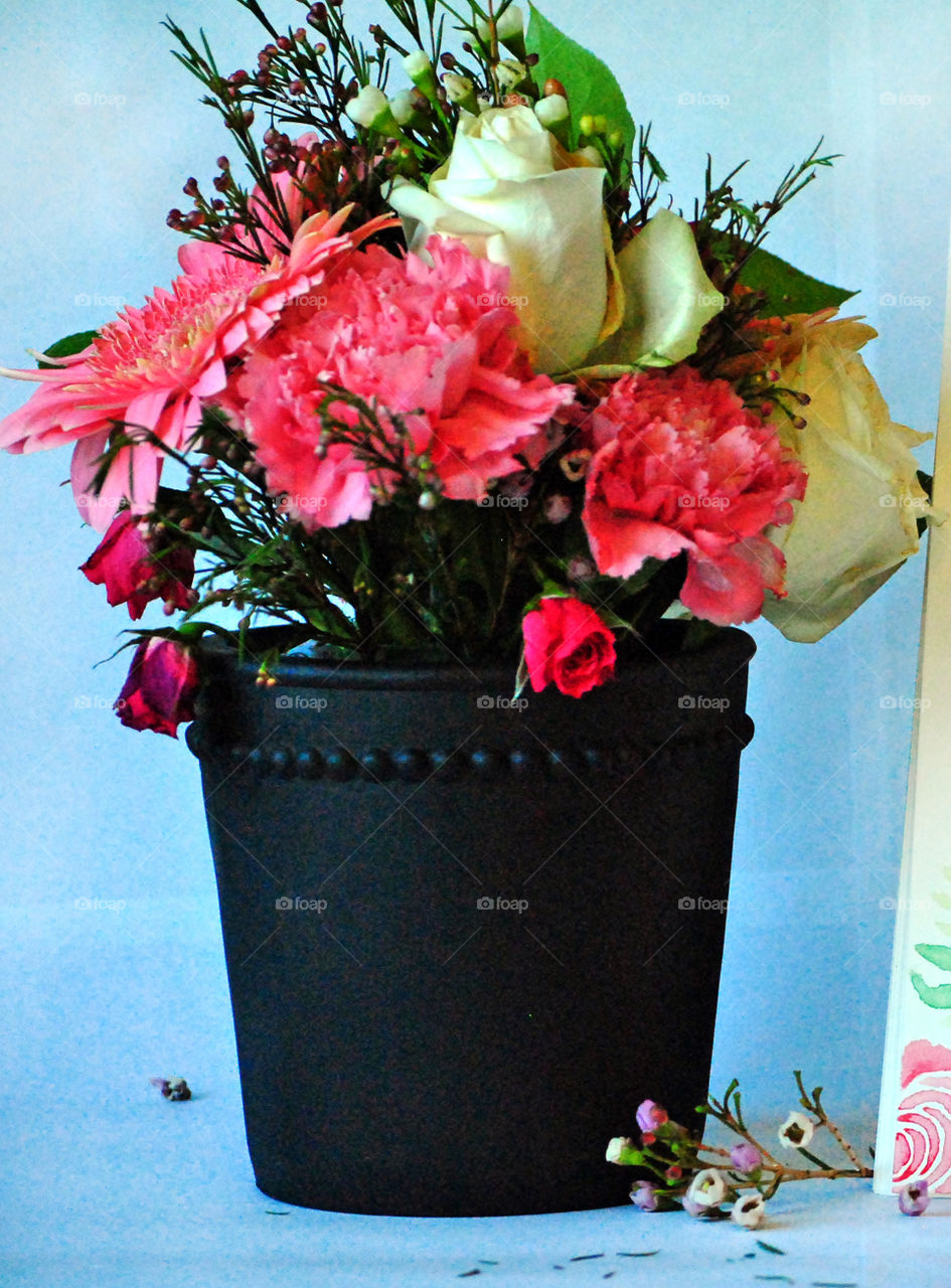 pink in flower pot