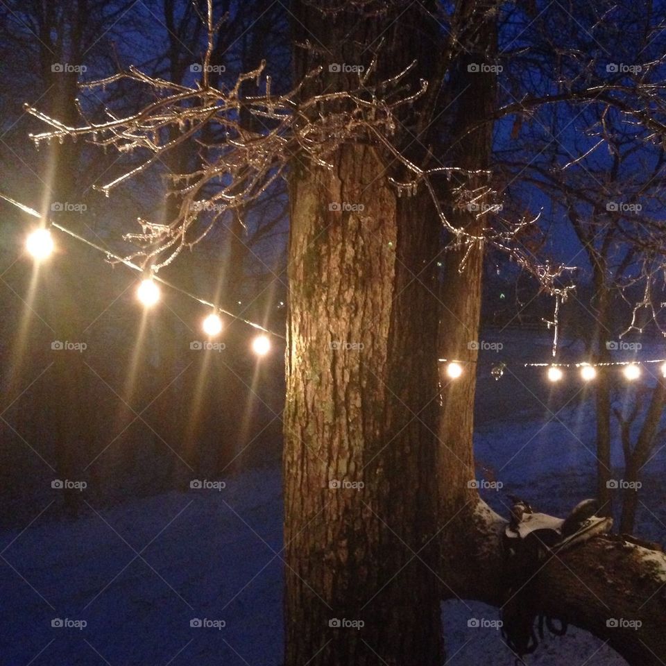 Winter icy lights
