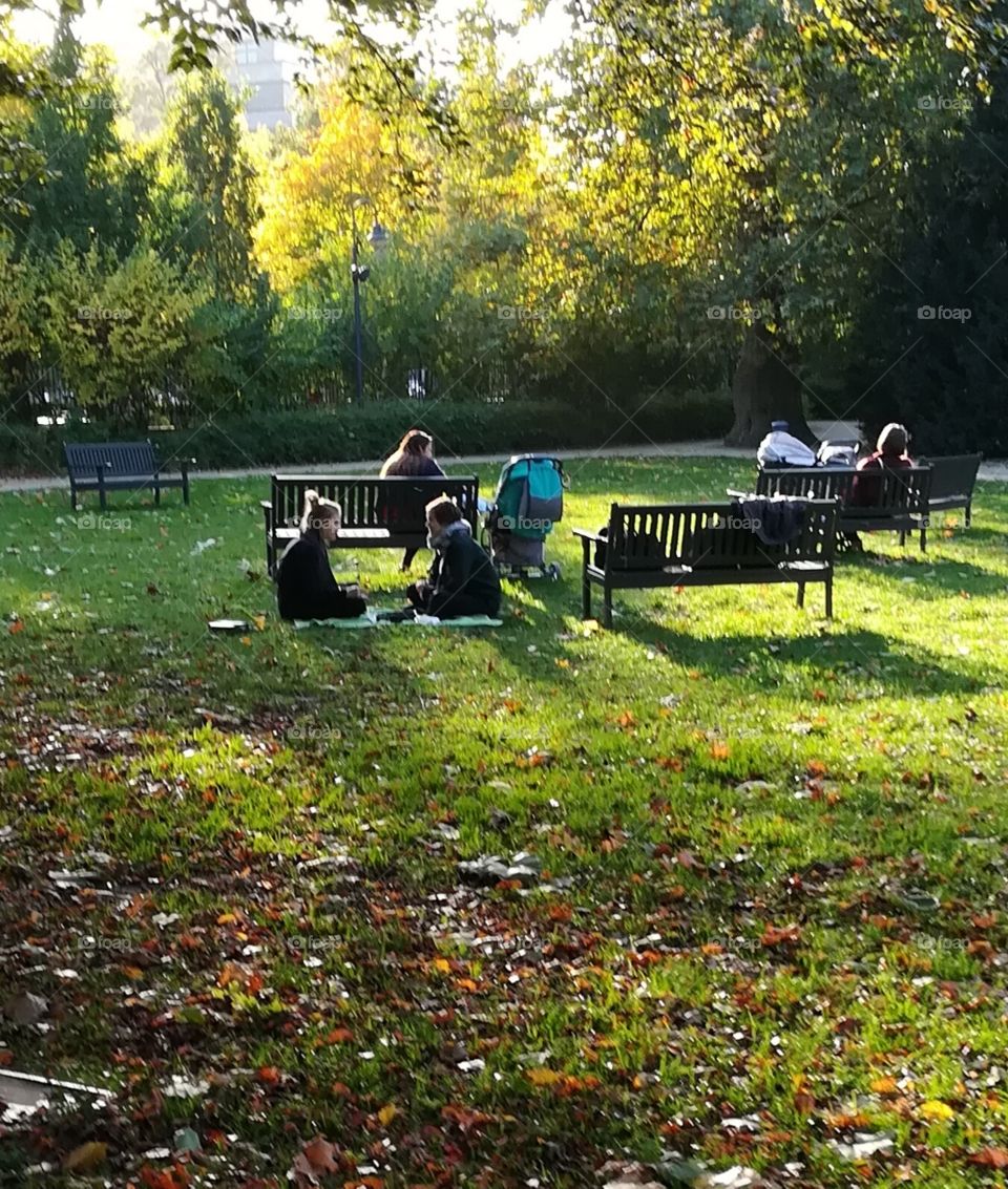 Autumn picnic