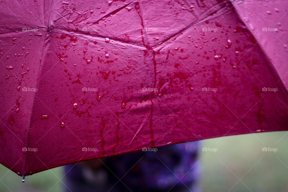 Wet red umbrella, close-up