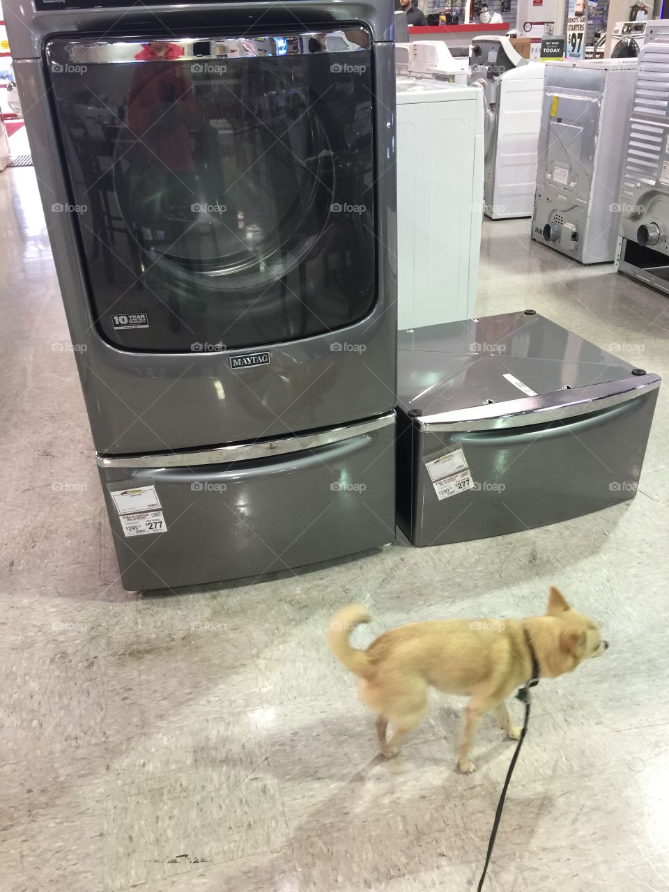 New washer