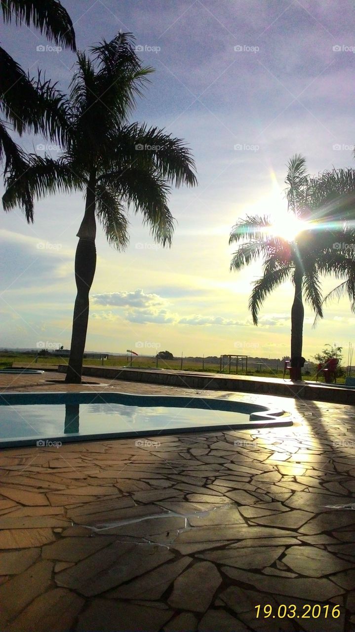 dia exotico em resort com sol brilhando em coqueiros e palmeiras na tarde de um dia calmo