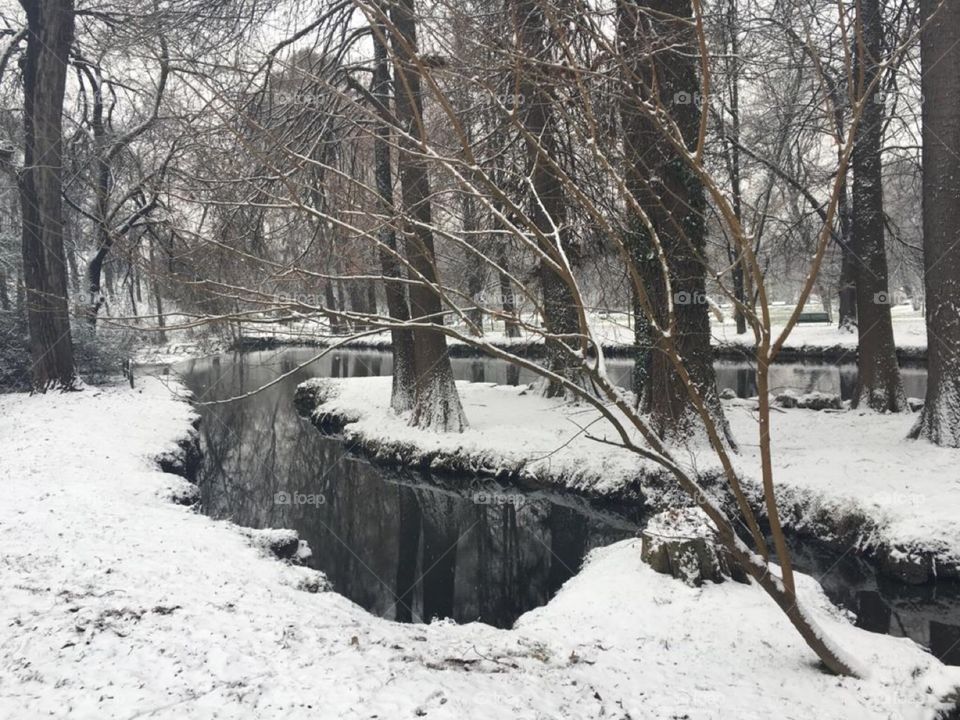 Milan winter, amazing Lambro Park in the snow with the river nearly frozen.