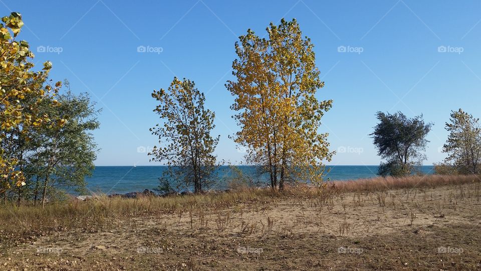 beach in fall