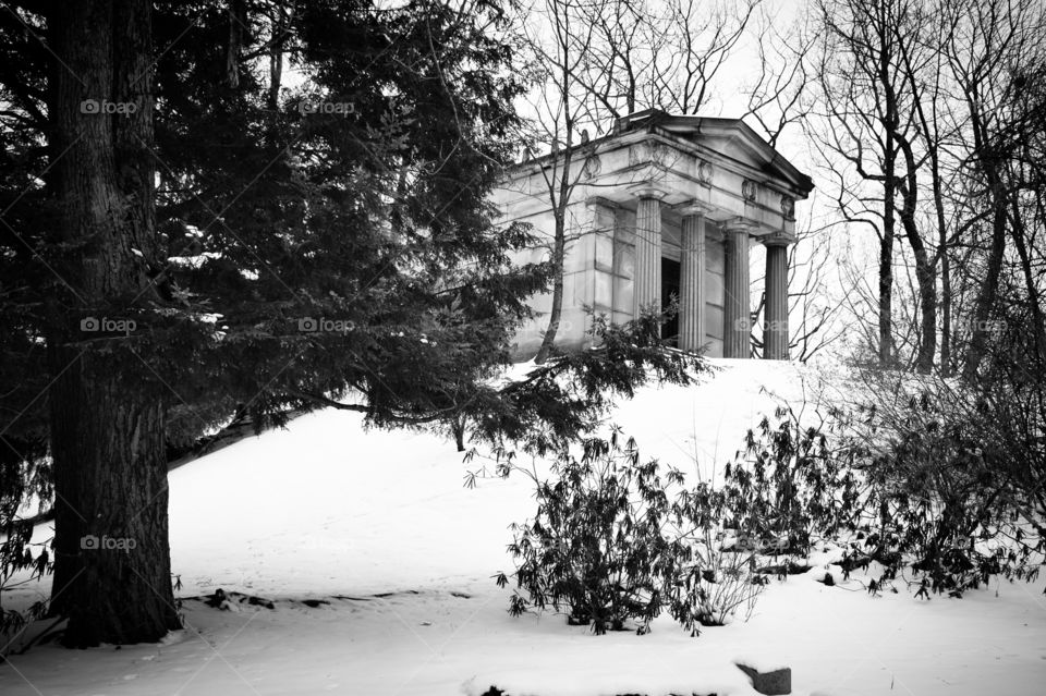 Snowy Day at Lake View Cemetery, Cleveland, Ohio 