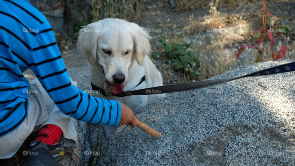 I love sticks