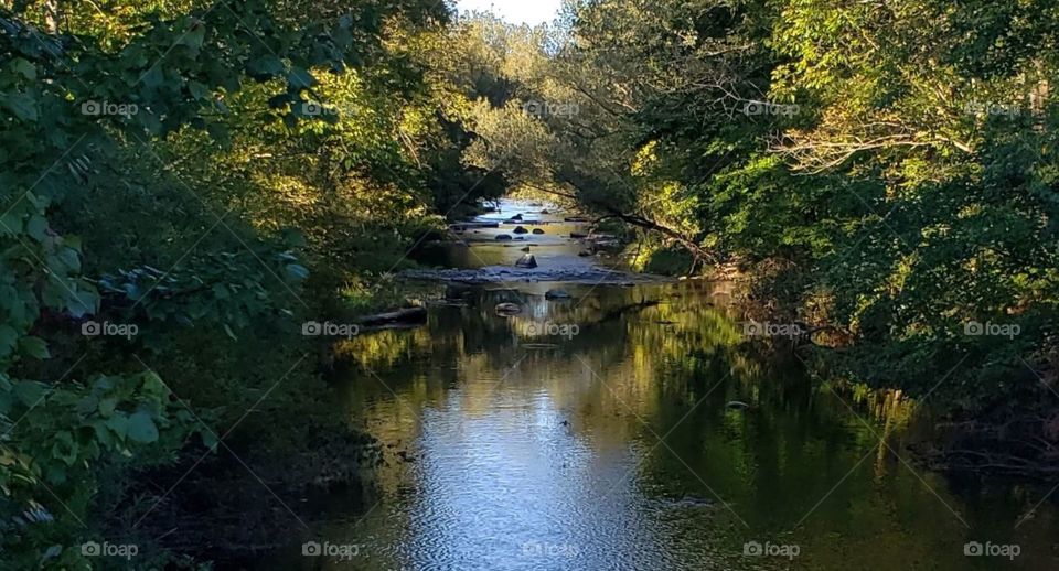 Late Summer View of River Lined With Trees