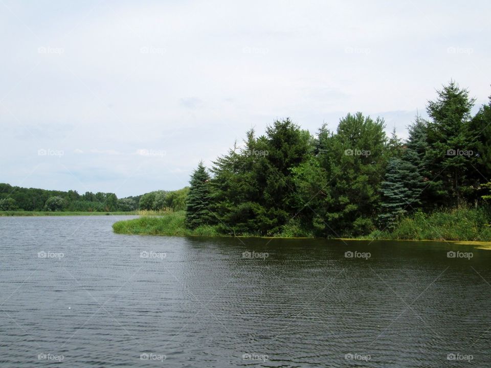 A lake view