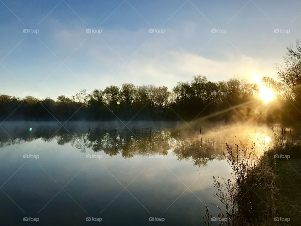 Reflection of trees on lake