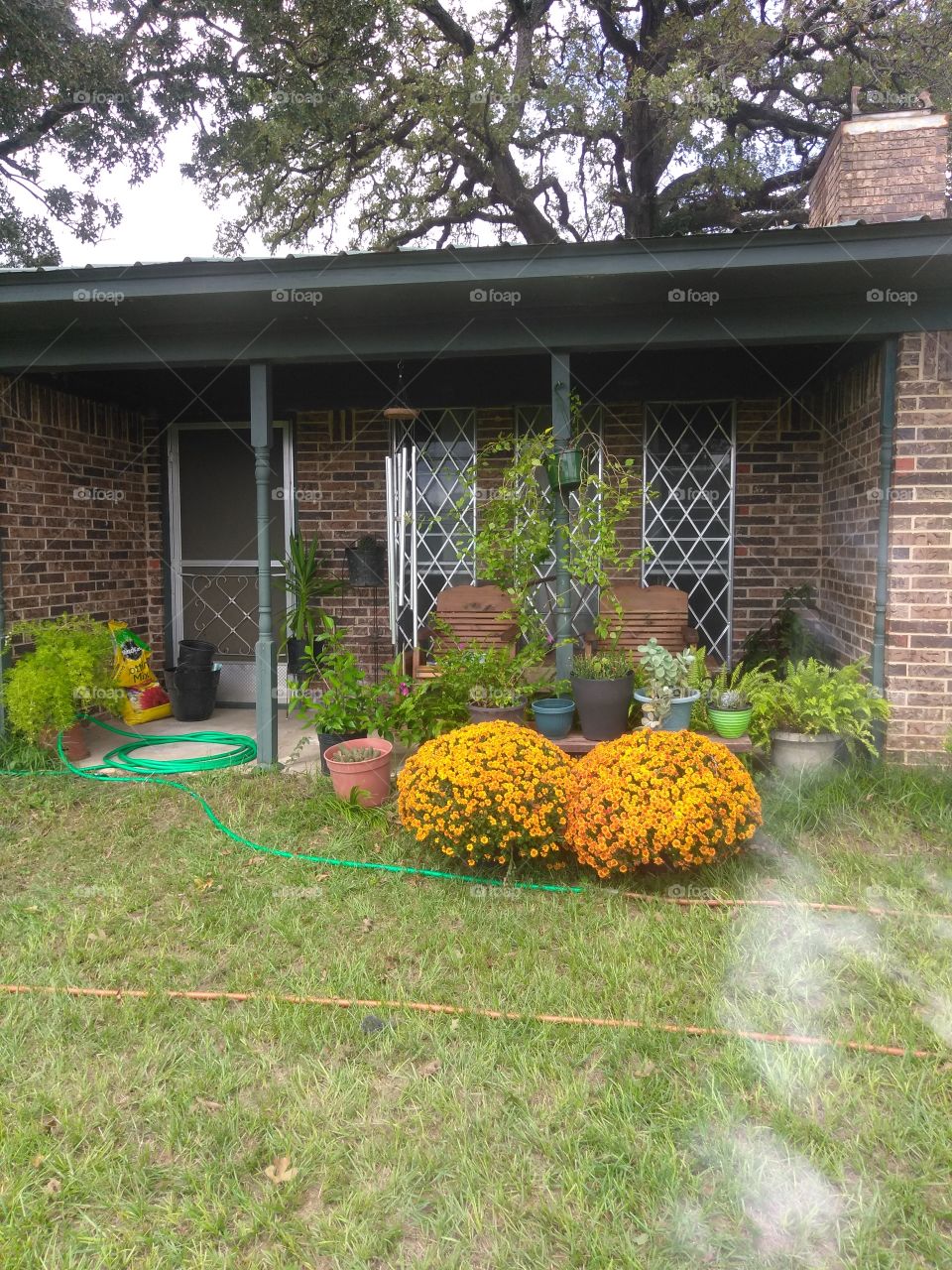beautiful front porch along with the beautiful mum's and other plants