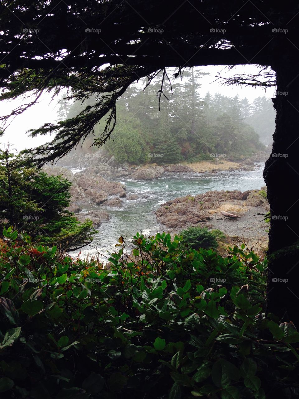 Ukee walk. Pacific Ocean