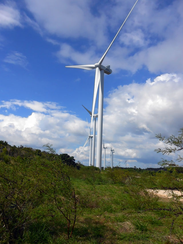 Wind Turbine in a Row