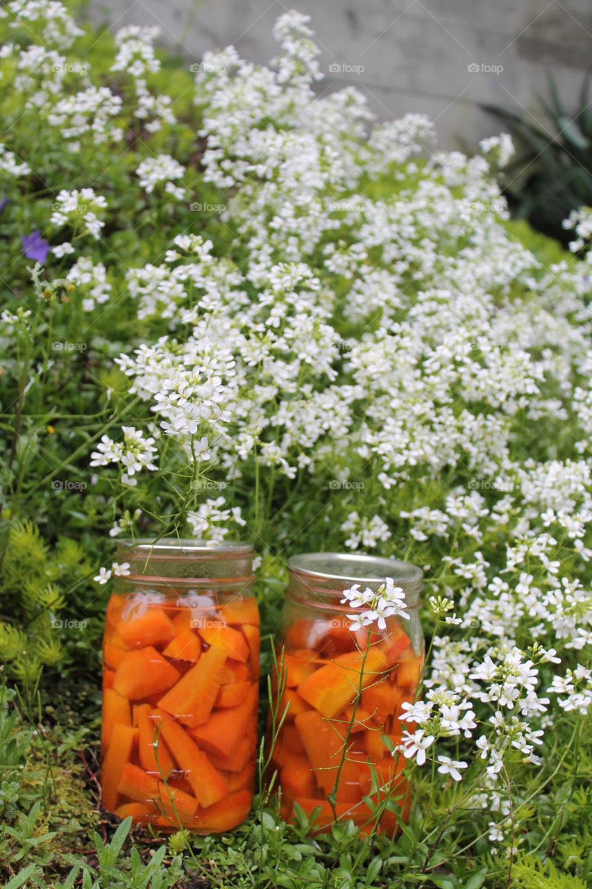Close-up of carrot pickle