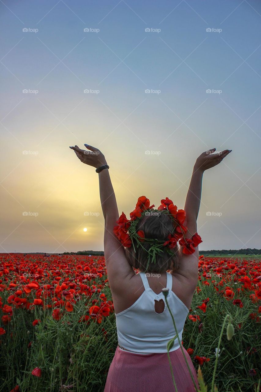 Poppy field at sunset. Summer trips.