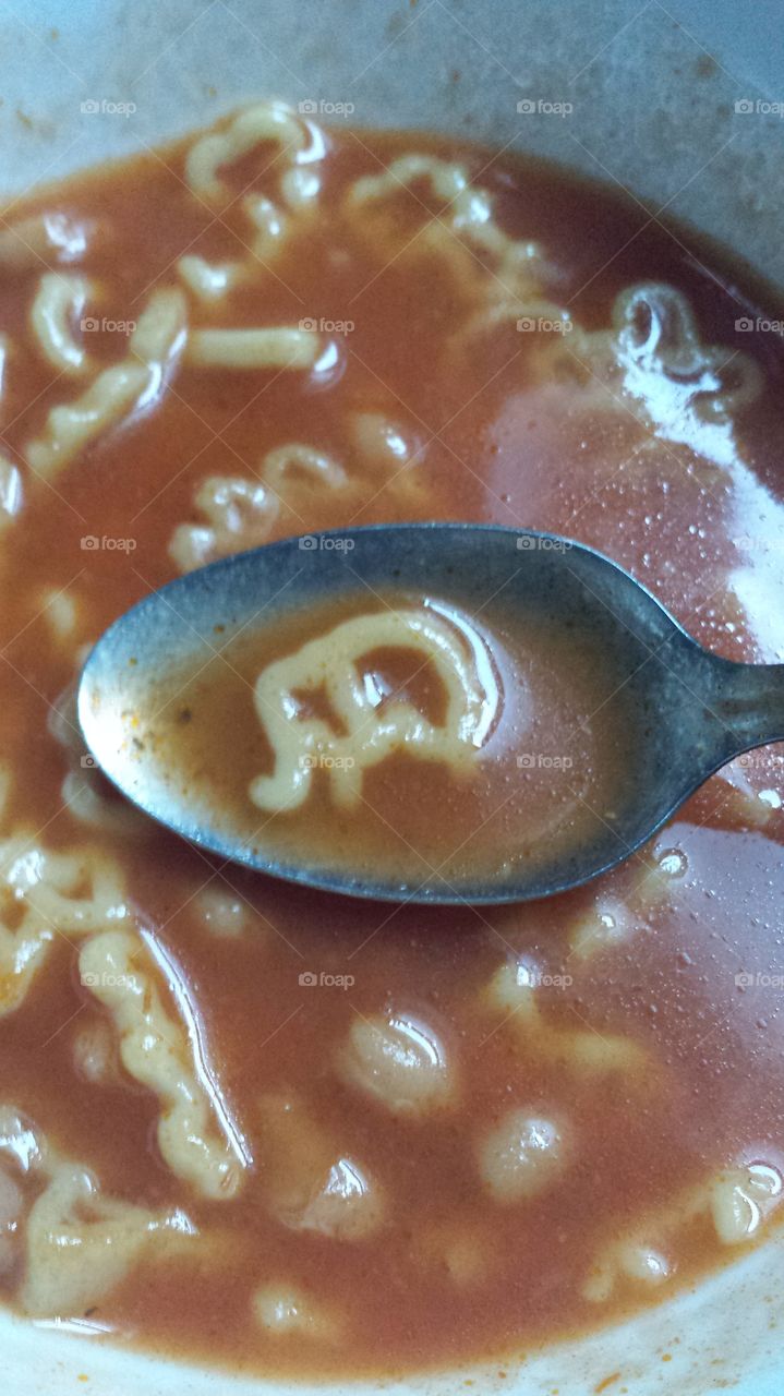 waiter? there's an elephant in my soup