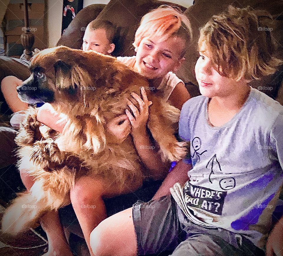 Watch Dog screen time even the dog loves Netflix 