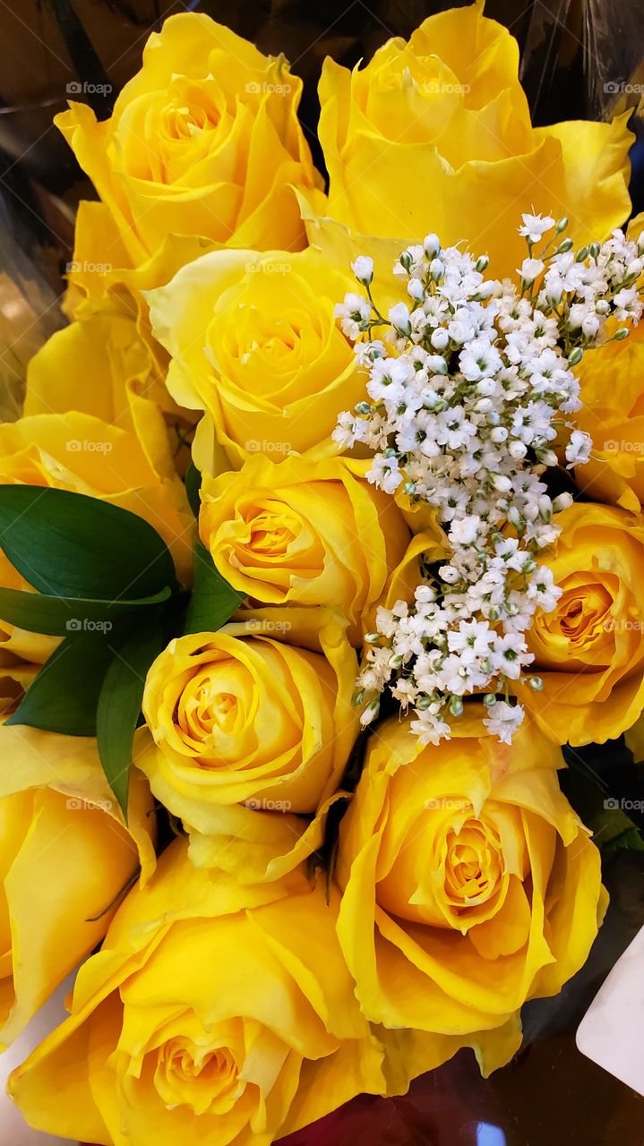 yellow roses