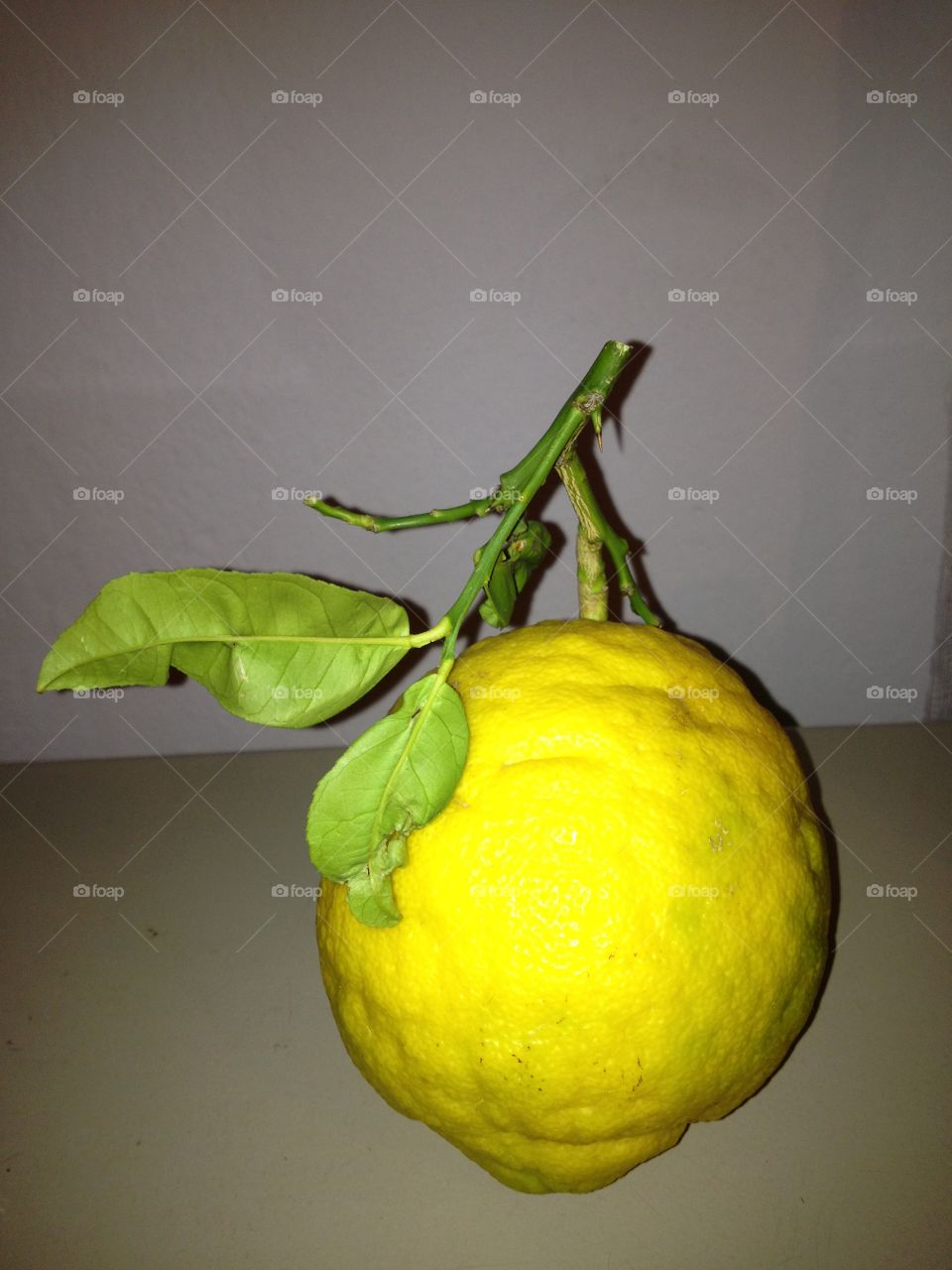 Huge Fresh Lemon