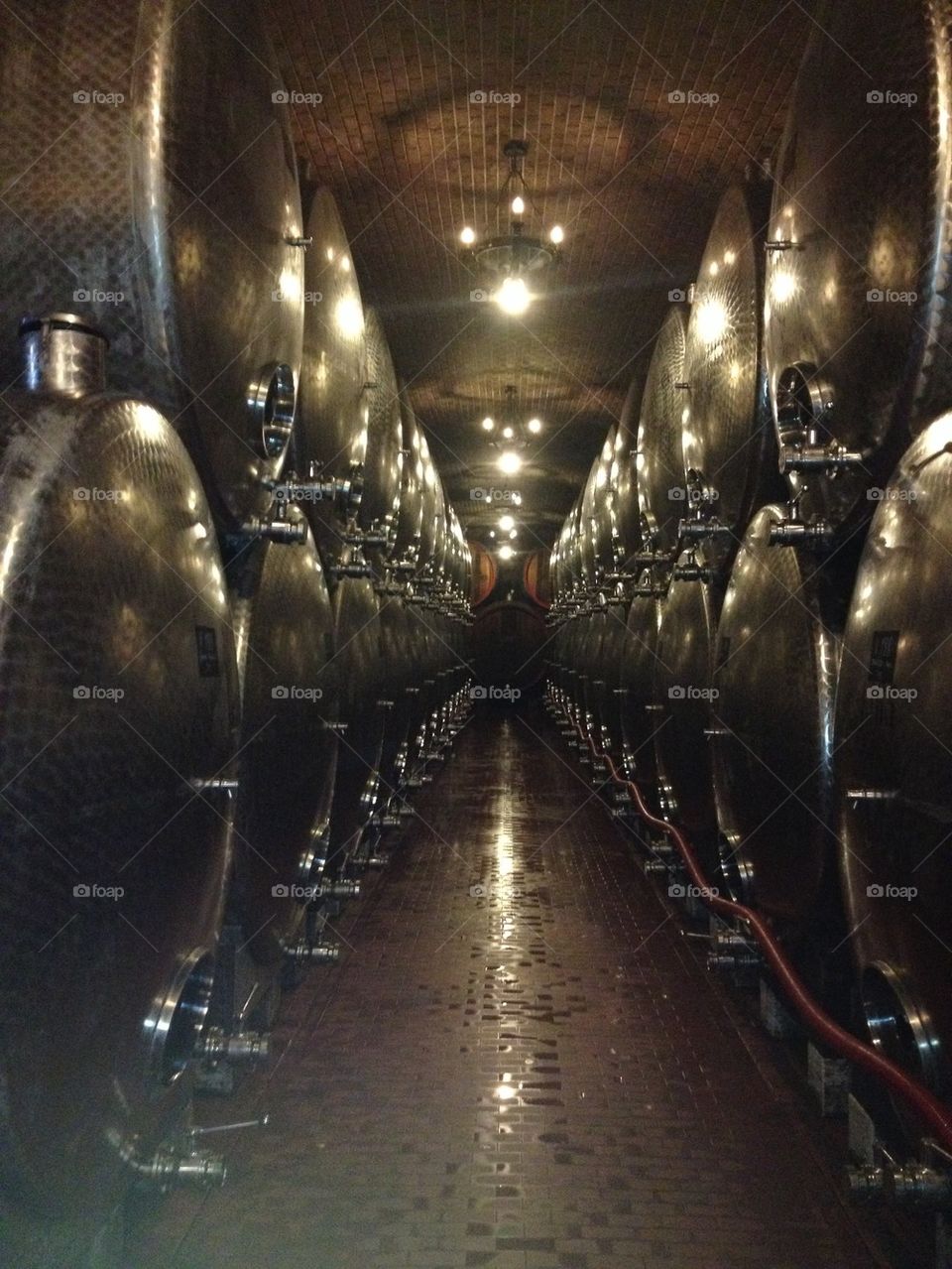 Wine cellar