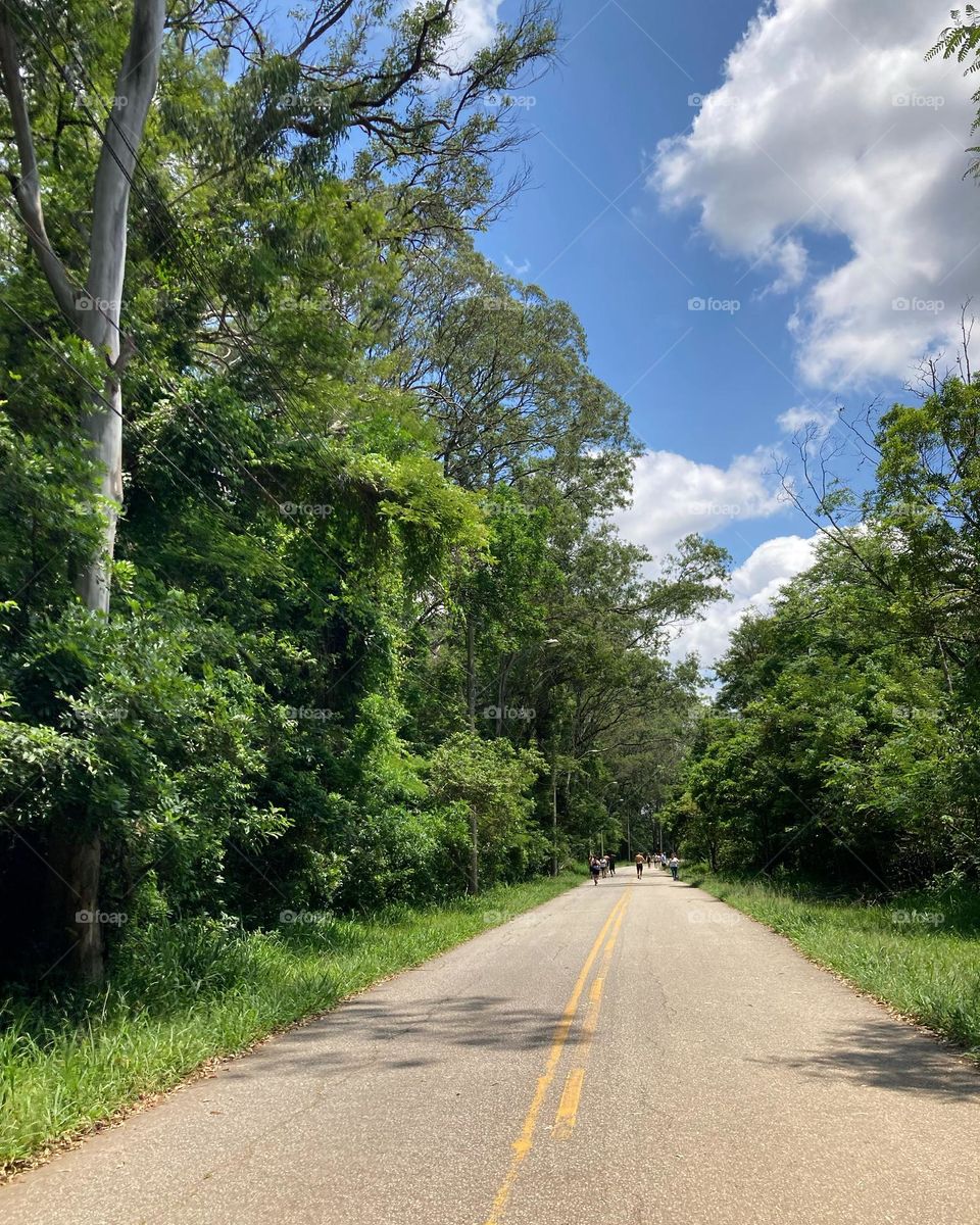 Revivendo…

Voltando à Jundiaí, passeando na Estrada da Serra da Ermida… por muitos anos aqui foi minha “pista de cooper”!

Viva a beleza da nossa natureza!