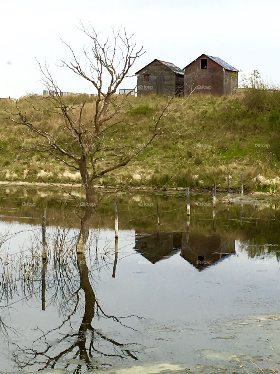 Rural reflection 