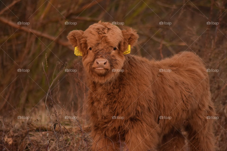 Little guy is Watching me.