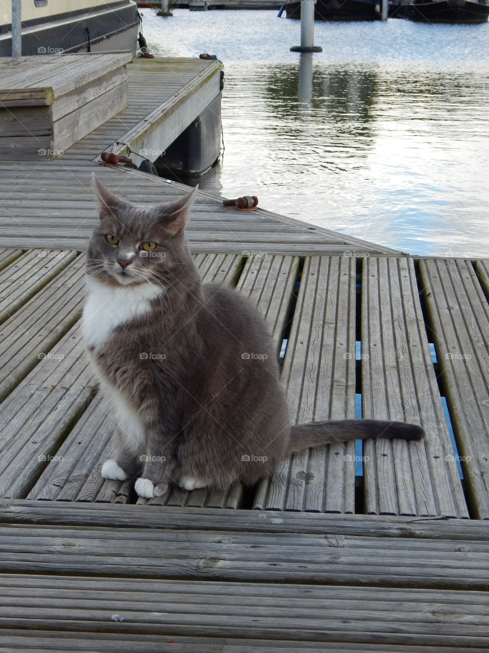 watching you watching me