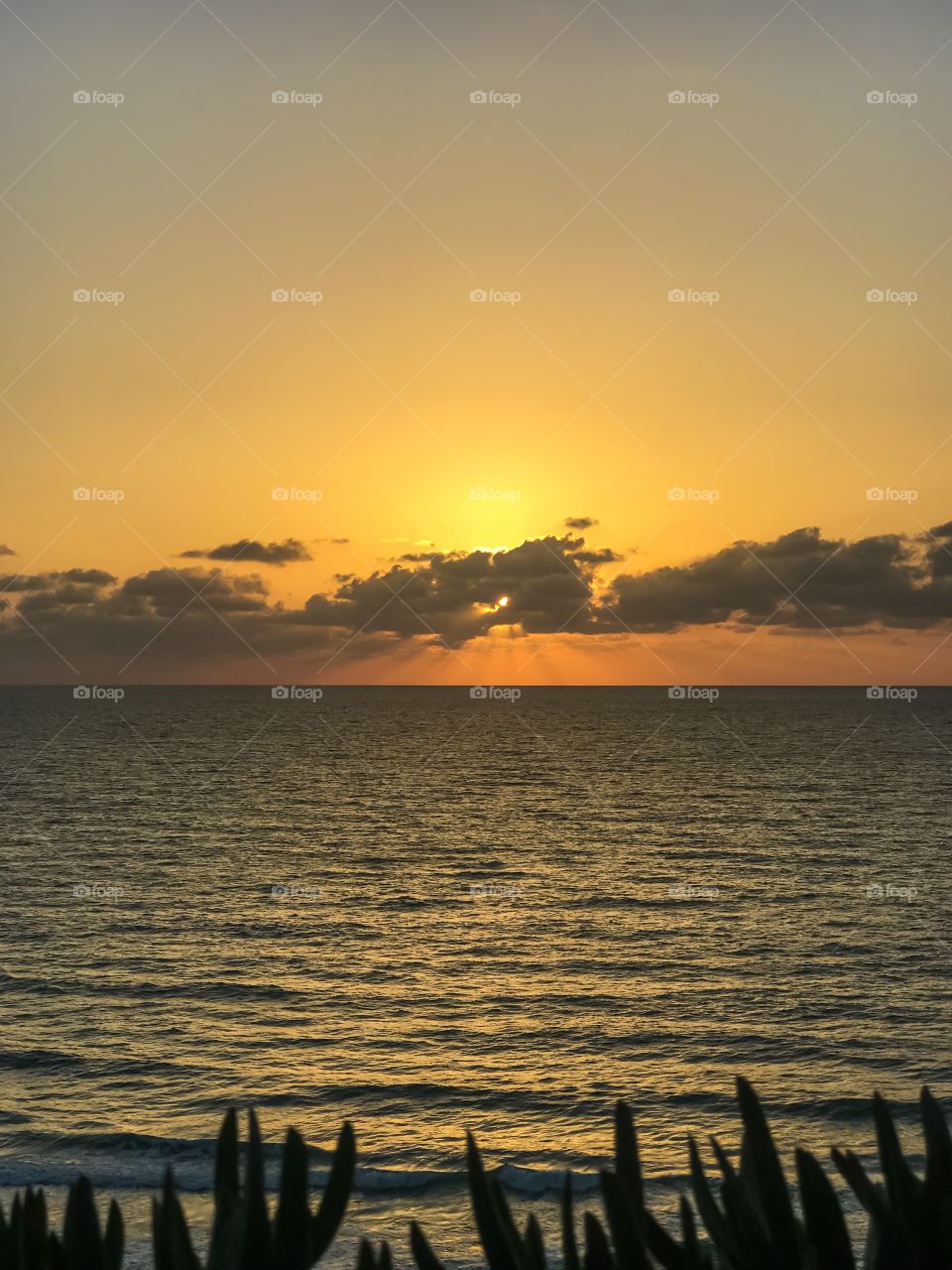 Ocean Sunset 