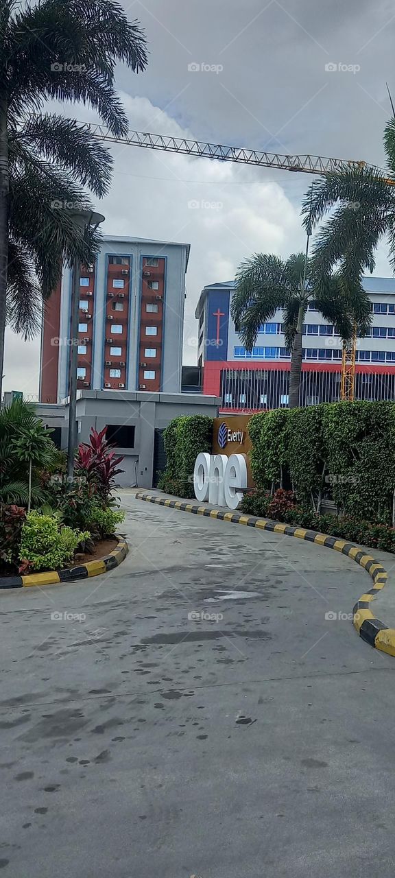 Beautiful modern office buildings with surrounding landscape of plants , palm trees, green plants.