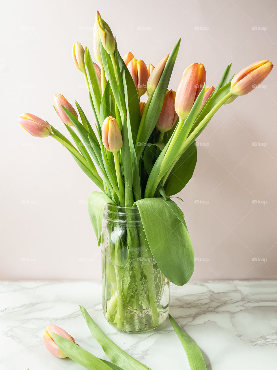 Fresh spring tulips are always gorgeous and a sign of love and life! Sure to always bring a smile! 