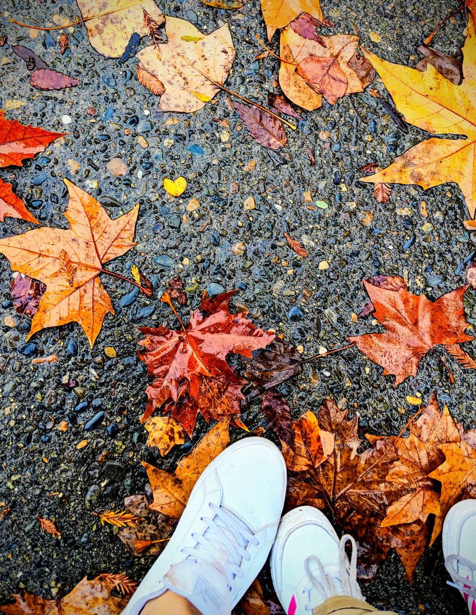 A sign form above to remind us love is everywhere, if we just slow down and look around us.