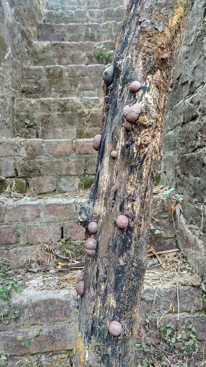 I like it..to old things...