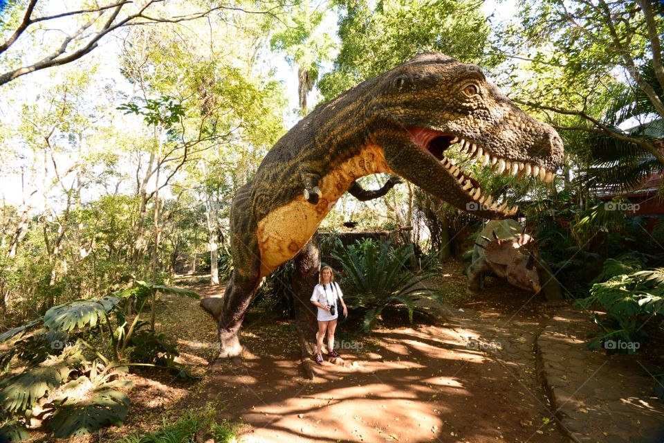 dinosaur  park