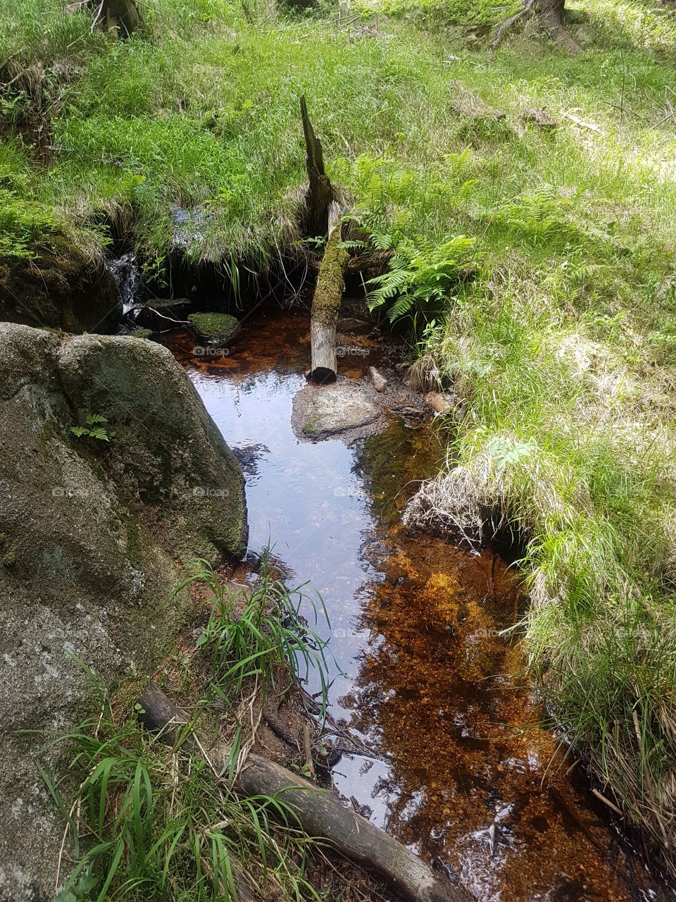 Water, Nature, River, Landscape, Stream