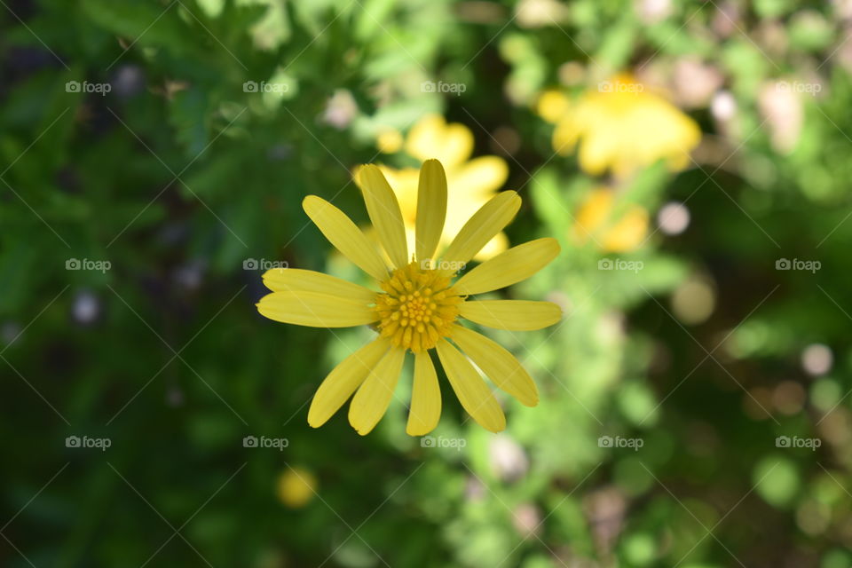 Ecoparque // Buenos Aires , Argentina . Foto tomada con Nikon D3500