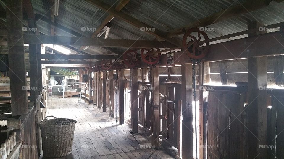 shearing Shed
