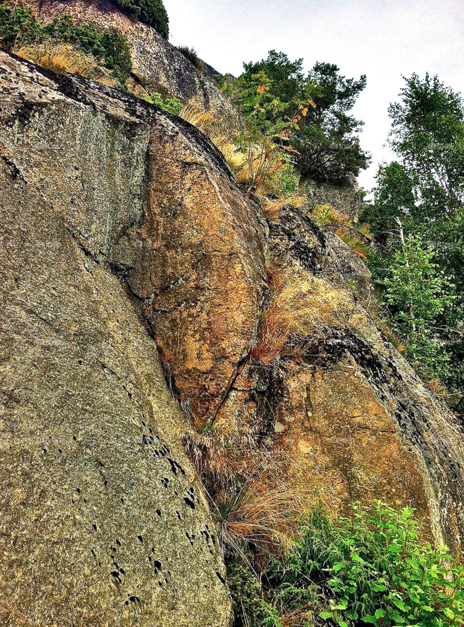 landscape sweden summer vacation by lgt41