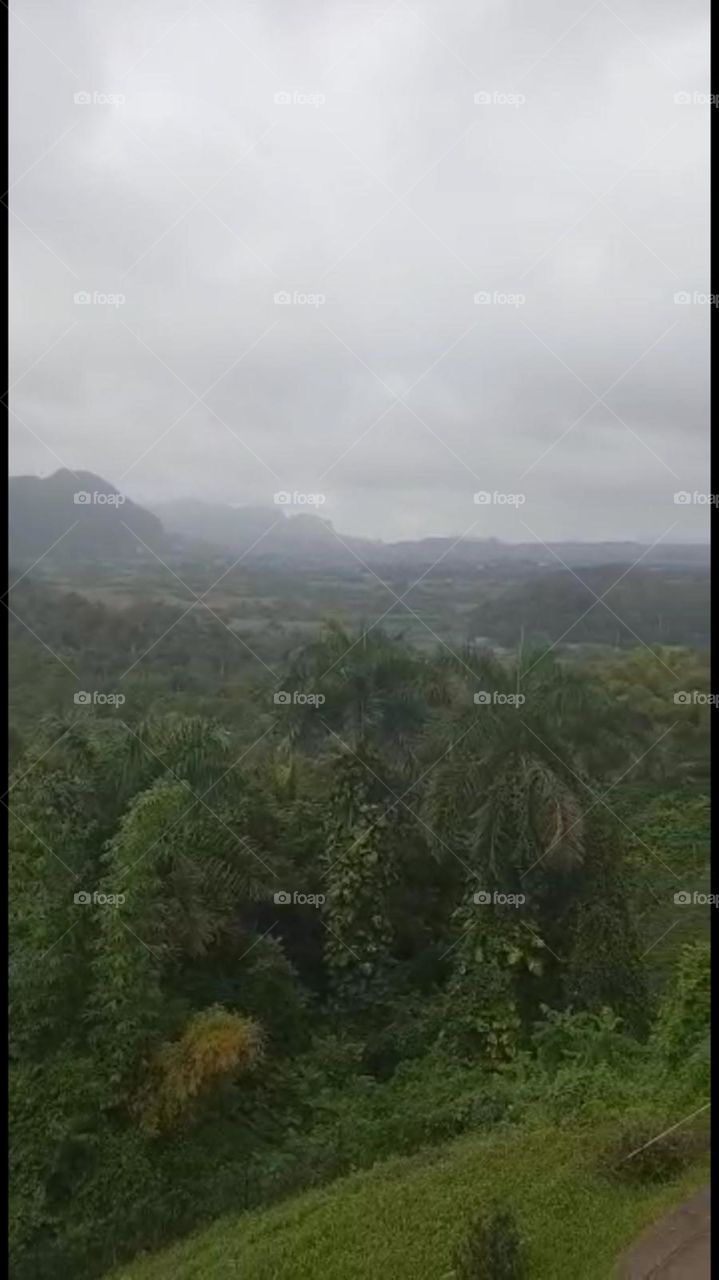 Viñales