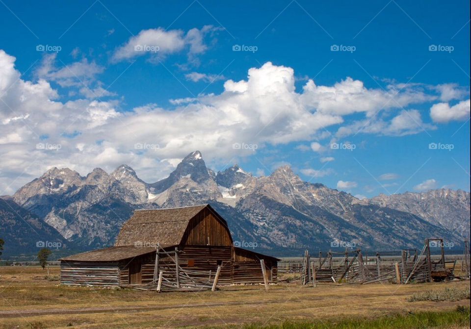 Cabin in the Mountains