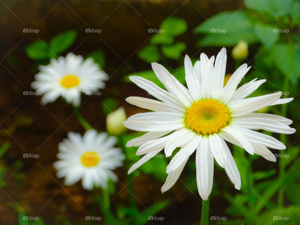 how much do you like this photo