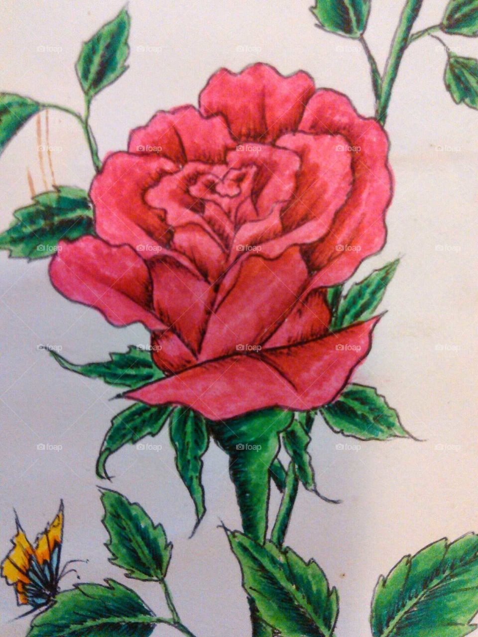 My Sketch: Rose