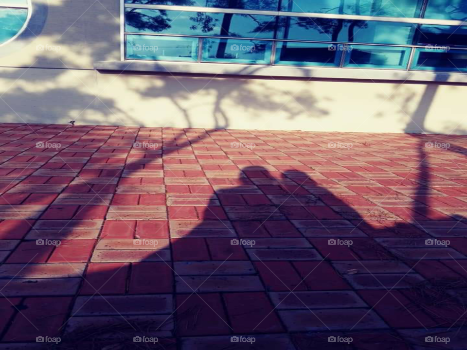 the mother and child shadow . the mother and child hugging each other with their check by check  attached.