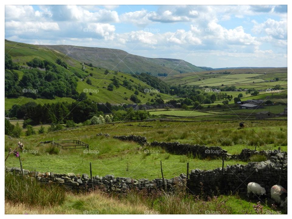 Arkengarthdale, Yorkshire 4