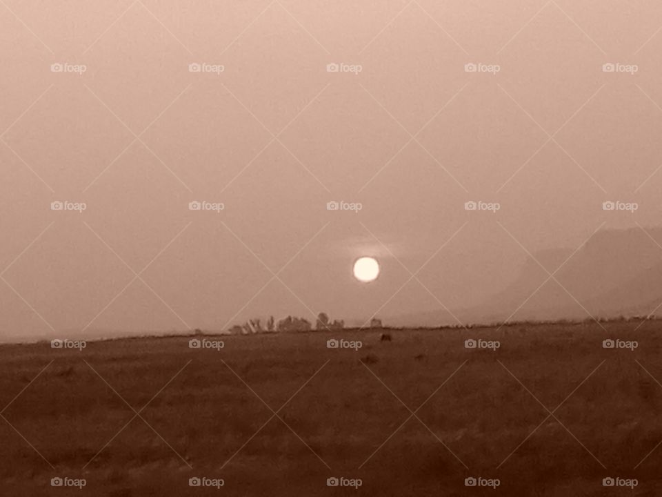 bushveld misty sunset01