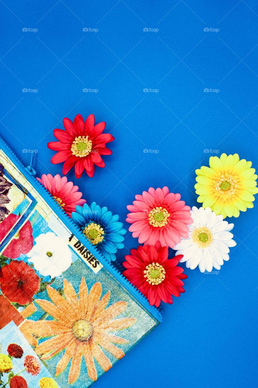 Flat lay of Gerbera daisies and a colorful floral-print zipper bag with blue trim on a bright blue background 