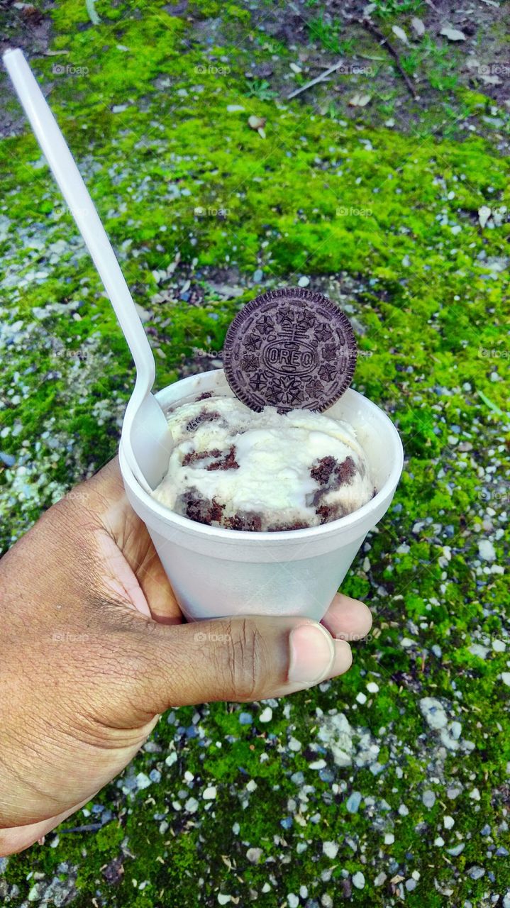 Oreo cookie ice cream