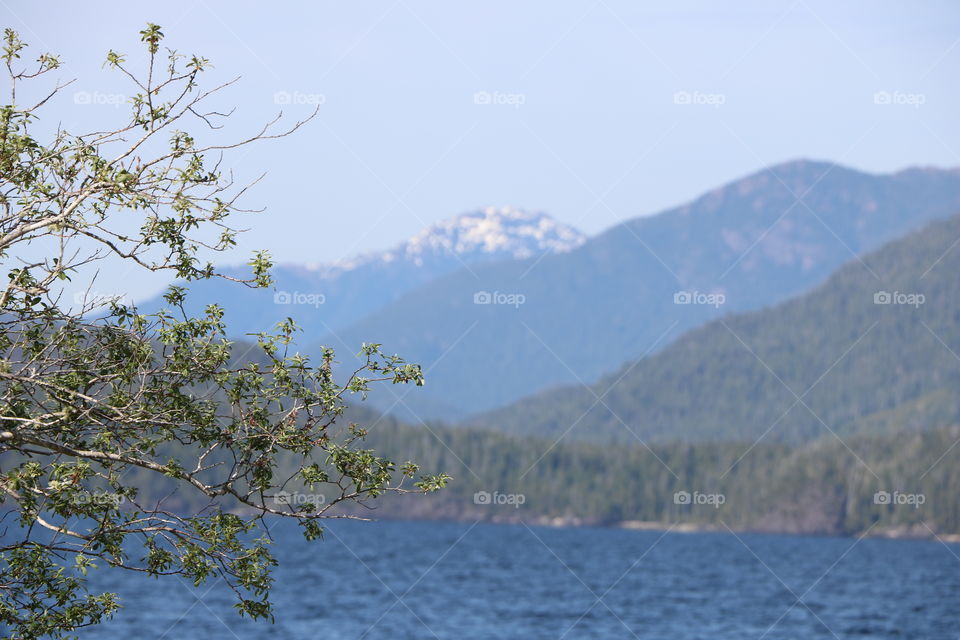 Mountains on Vancouver Island 