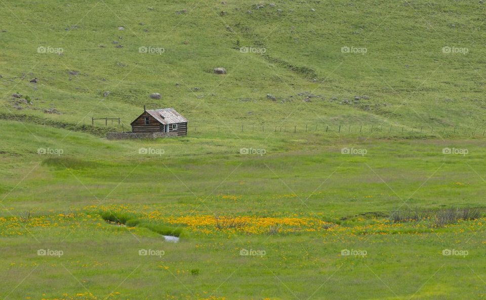 Meadow cabin